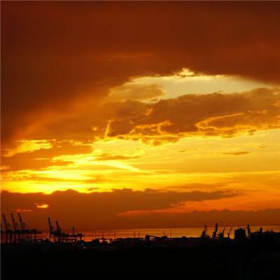 手机买彩票app下载