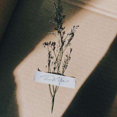 炸金花网络游戏