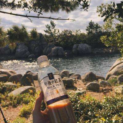 4949澳门免费资料大全手机app下载