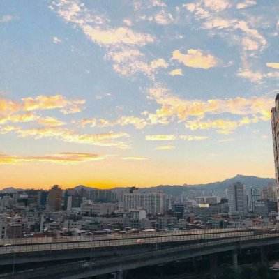 365平台下载手机版