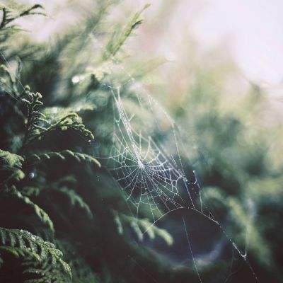 hth体育官方网站